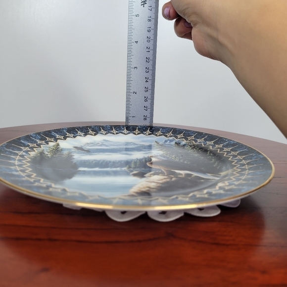 Vintage The Bradford Exchange "Pride of the Sky" by Frank Mittelstadt Plate - Picture 13 of 14